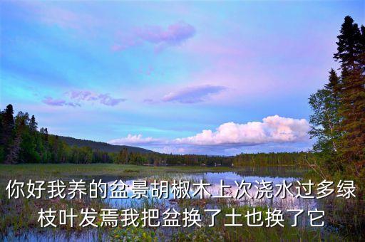 你好我养的盆景胡椒木上次浇水过多绿枝叶发焉我把盆换了土也换了它