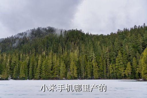 小米产地，小米的产地在哪里呢