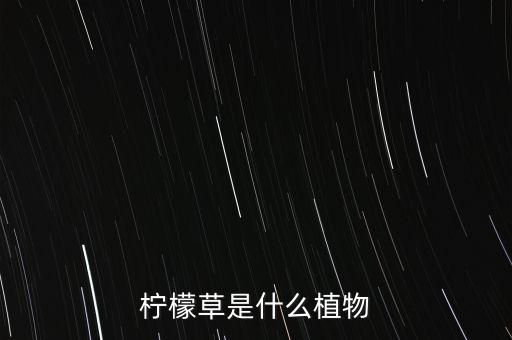 柠檬草，柠檬草是什么植物
