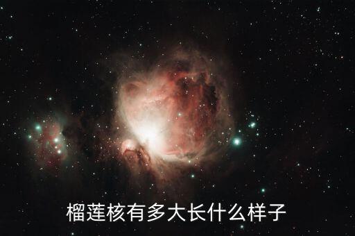 榴莲有核吗，榴莲的核能食吗