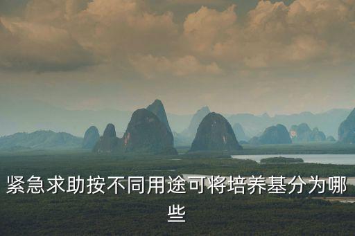 培养基的种类，紧急求助按不同用途可将培养基分为哪些