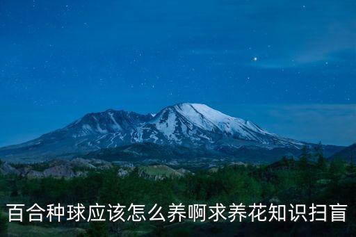 百合花种球，家庭如何种植观赏百合种球