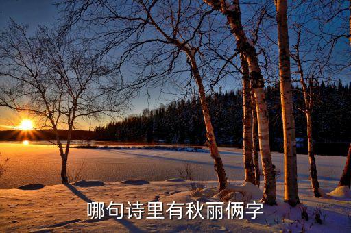 秋丽，秋丽是喜阴植物吗要经常晒太阳吗