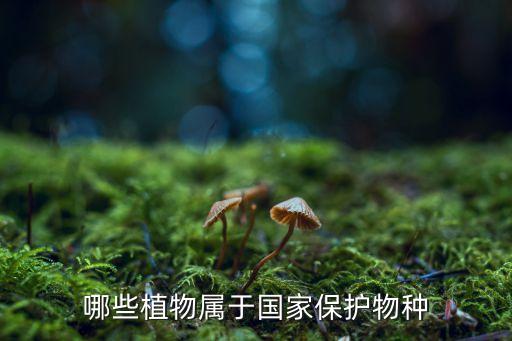 哪些植物属于国家保护物种
