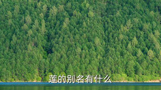 莲的别名有什么
