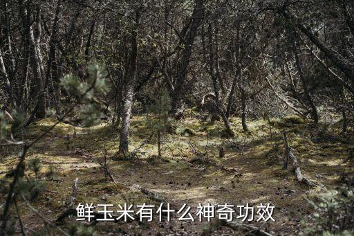 鲜玉米有什么神奇功效
