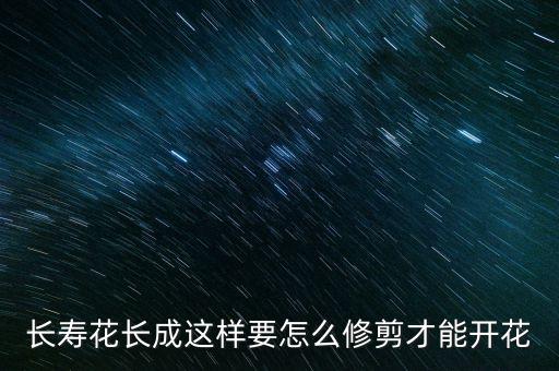 长寿花长成这样要怎么修剪才能开花
