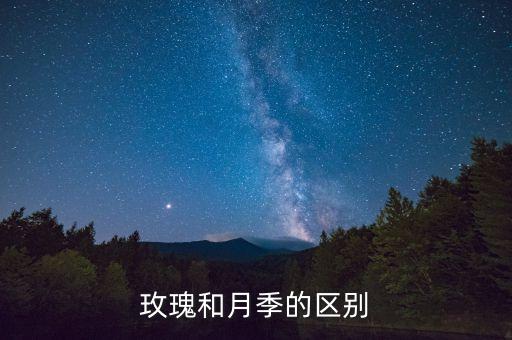 玫瑰和月季的区别