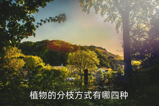 分枝，茶花怎样进行分枝