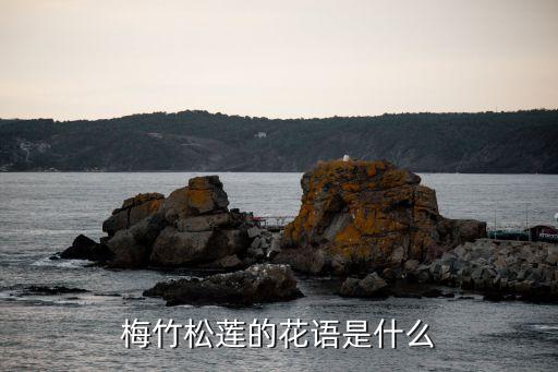 梅竹松莲的花语是什么