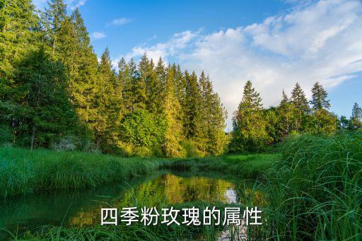 四季粉玫瑰的属性