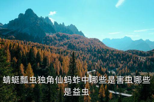 蚂蚱是益虫还是害虫，蚂蚱是益虫还是还害虫