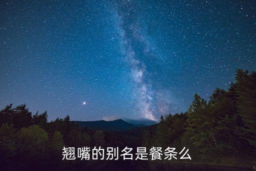 翘嘴的别名是餐条么