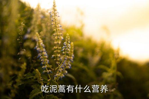 泥蒿，泥蒿叶子可以吃吗
