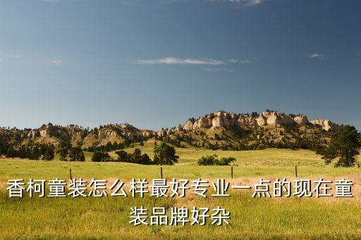香柯童装怎么样最好专业一点的现在童装品牌好杂