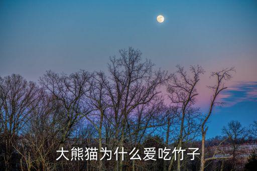 大熊猫为什么爱吃竹子