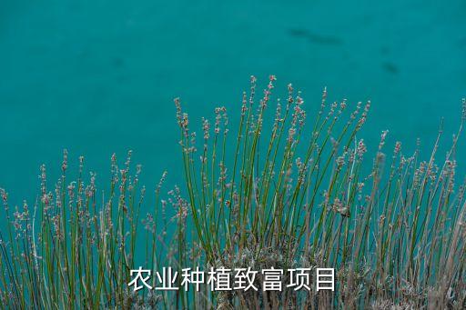 农业种植业怎么做，农业种植致富项目