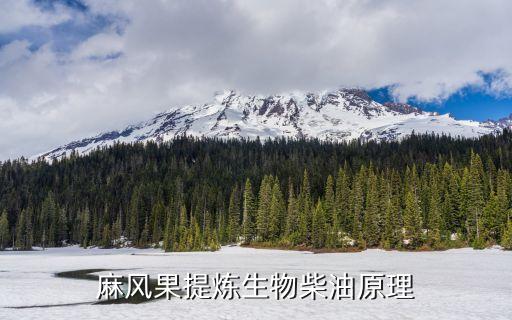 麻风果，麻风果树能否适宜东北地区生长