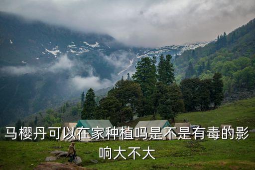 马樱丹，马樱丹的花语