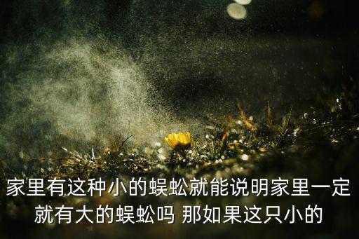 家里有这种小的蜈蚣就能说明家里一定就有大的蜈蚣吗 那如果这只小的