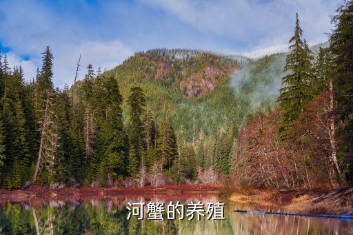 河蟹的养殖