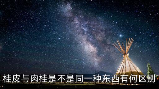 桂皮与肉桂是不是同一种东西有何区别