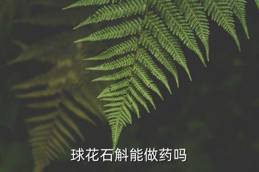 球花石斛能做药吗