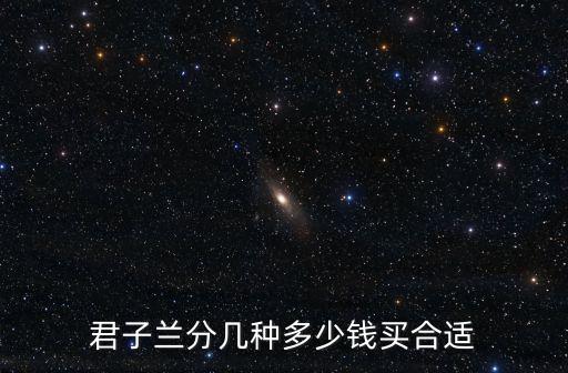 奇异君子兰，奇异君子兰的君子兰的由来