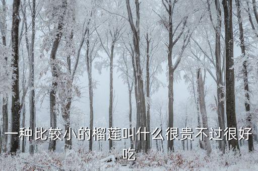 一种比较小的榴莲叫什么很贵不过很好吃