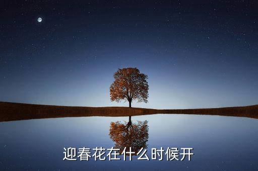 迎春花什么时候开，迎春花什么时候开花