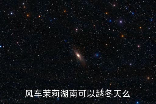 风车茉莉有毒吗，风车茉莉湖南可以越冬天么