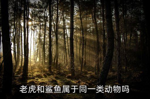 虎鲨鱼，关于虎鲨鱼的知识