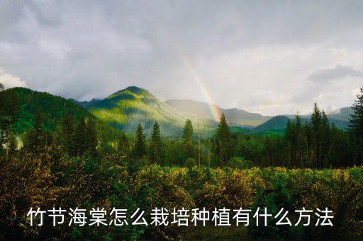 竹节海棠打顶图解，文竹怎样打顶