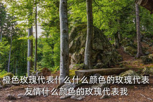 橙色玫瑰代表什么什么颜色的玫瑰代表友情什么颜色的玫瑰代表我