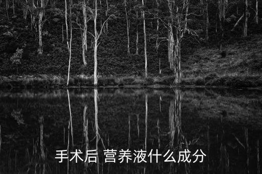 手术后 营养液什么成分