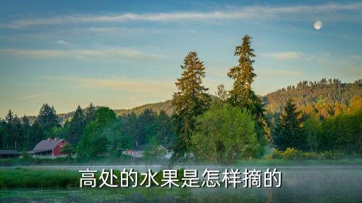 高处的水果是怎样摘的