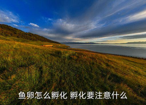 鱼卵怎么孵化 孵化要注意什么