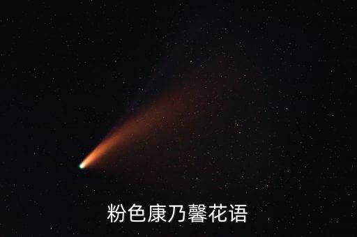 粉色康乃馨花语