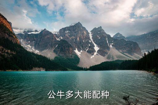 公牛交配，公牛要多大才能配种
