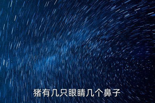 猪眼睛，猪有几只眼睛几个鼻子