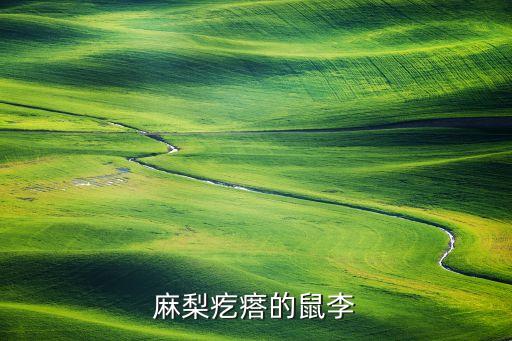 麻梨疙瘩的鼠李