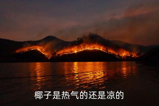 椰子是凉性还是热性，椰子属于凉性还是热性