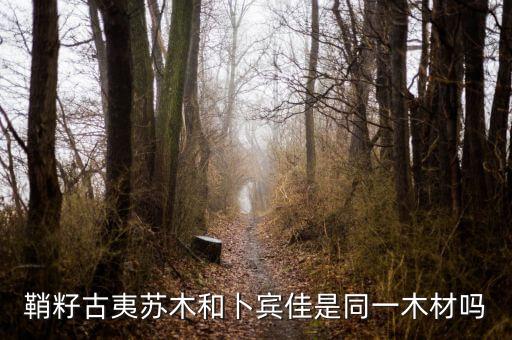 鞘籽古夷苏木和卜宾佳是同一木材吗