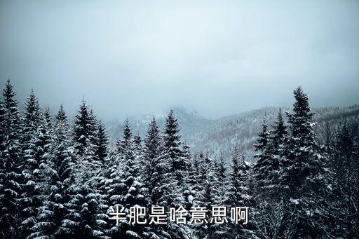 半肥是啥意思啊