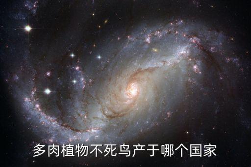 不死鸟植物，不死乌植物有多少品种