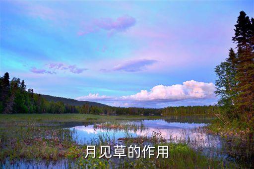 见月草，见月草怎么吃 来例假能吃吗