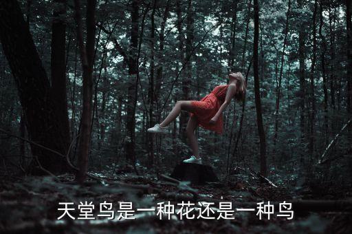 天堂鸟是一种花还是一种鸟