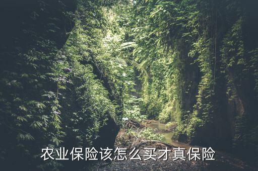 农业保险该怎么买才真保险