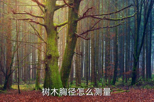 树木胸径怎么测量，树木胸径怎么测量