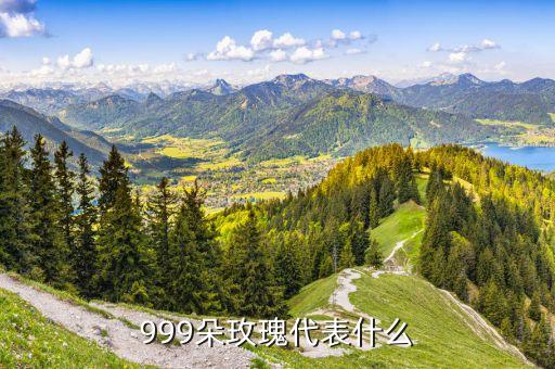 999朵玫瑰代表什么